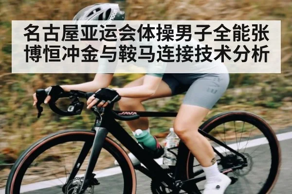 名古屋亚运会体操男子全能张博恒冲金与鞍马连接技术分析
